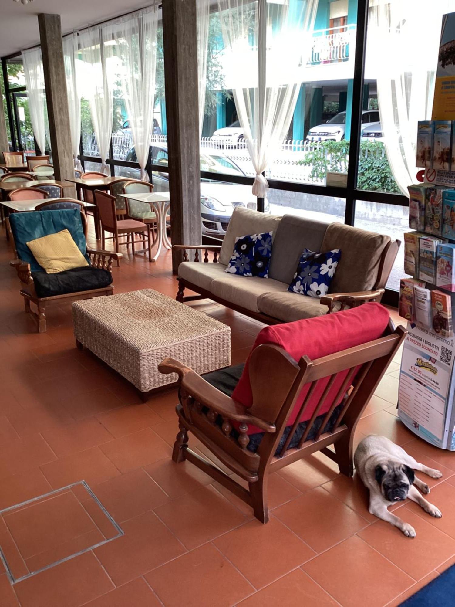 Hotel Villa Alexandra Bellaria – Igea Marina Kültér fotó
