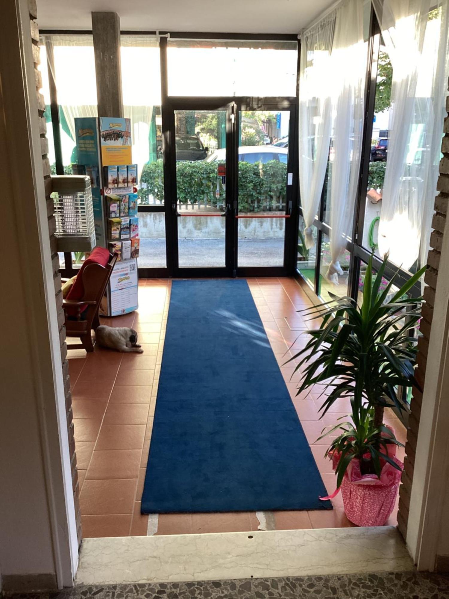 Hotel Villa Alexandra Bellaria – Igea Marina Kültér fotó